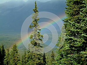 Mountain rainbow