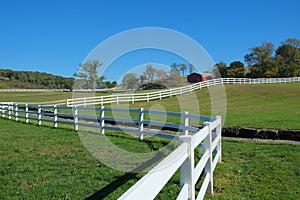 Mountain Ranch Landscape