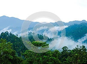 Mountain range area with tropical trees and low clouds after rain in Gua Musang, Kelantan, Malaysia