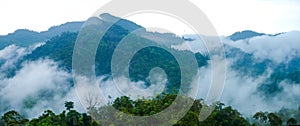 Mountain range area with tropical trees and low clouds after rain in Gua Musang, Kelantan, Malaysia