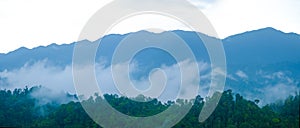 Mountain range area with tropical trees and low clouds after rain in Gua Musang, Kelantan, Malaysia