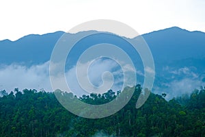 Mountain range area with tropical trees and low clouds after rain in Gua Musang, Kelantan, Malaysia