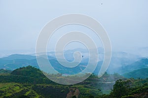 Mountain range area with tropical trees and low clouds after rain in Gua Musang, Kelantan, Malaysia