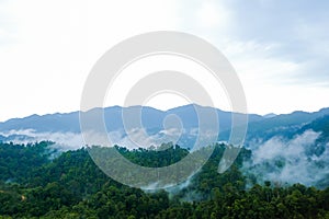 Mountain range area with tropical trees and low clouds after rain in Gua Musang, Kelantan, Malaysia