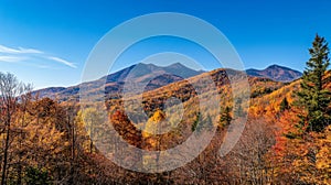 Mountain Range with Autumn Foliage