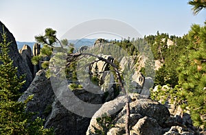 Mountain Range with a Bent Tree in the Wind