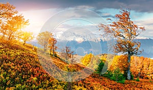 Mountain range in the Carpathian Mountains in the autumn season.