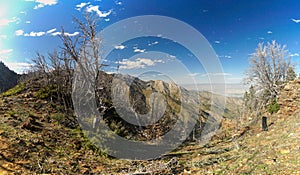 A mountain range with a clear blue sky and a few trees