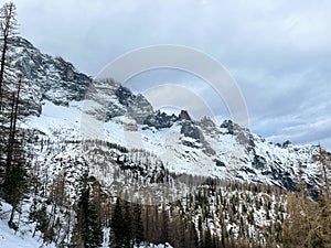 a mountain range covered in snow and tall trees with snow on the tops