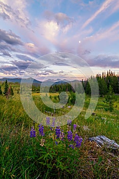 Mountain Range in Crested Butte