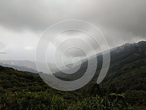 MOUNTAIN RANGE IN `DARJILLING` INDIA