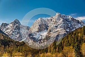 Mountain Range And Forest-Kranjska Gora,Slovenia