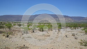 Mountain range landscape in Reserva de Namibe photo