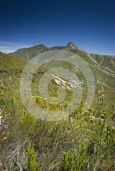 Mountain range landscape view of the Outeniqua Mountains