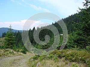 The mountain range of the Marmaros of the Ukrainian Carpathians near the town of Rakhiv of the Transcarpathian region. Ukraine. 08