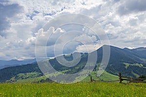 Mountain range partly forested and hayfield on a foreground