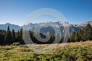 Mountain range and thick green forest, in the summer morning haze