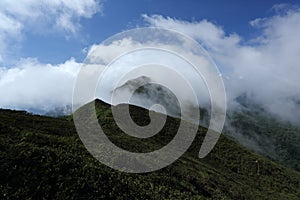 mountain range tropical rainforest canopy at southern of Thailand with more mist and cloud background blue sky