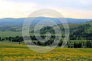 Mountain Range in Yellowstone National Park