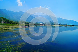 Dal Lake