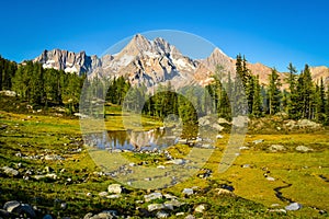 Mountain Reflection Jumbo Pass