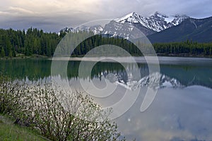 Mountain reflection in Lake Herbert