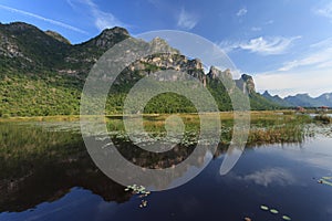 Mountain and reflection in a lake with lotus & typha angustifolia