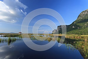 Mountain and reflection in a lake with lotus & typha angustifolia