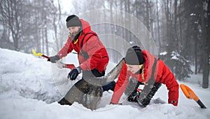 Happy mountain rescue service with dog on operation outdoors in winter in forest, digging snow.