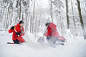 Mountain rescue service on operation outdoors in winter in forest, digging snow with shovels.