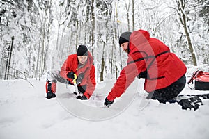 Mountain rescue service on operation outdoors in winter in forest, digging snow with shovels.