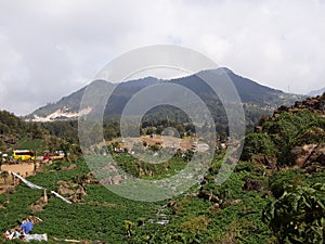 Mountain, ricefield, jungle in afternoon summer