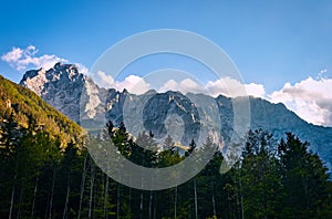 Mountain ridge with forest in front, Kamnisko Savinske Alps, Slovenia