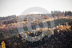 Berg Kamm wälder im herbst 