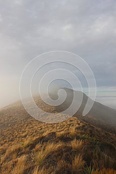 Mountain ridge Paparoa national park New Zealand