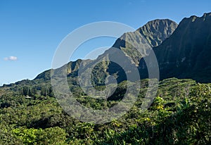 Mountain ridge rises above Hoomaluhia Botantical Gardens on Oahu