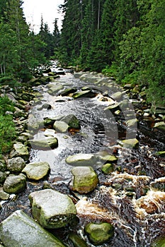 A mountain river