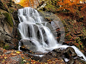 Mountain river in the autumn forest