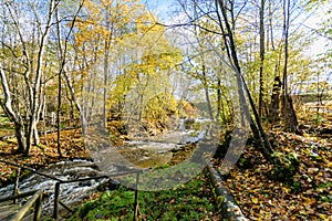 Mountain river in autumn