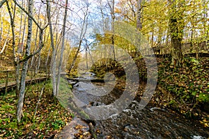 Mountain river in autumn