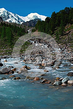 Mountain river on the background of snow-capped mountain peaks, blue sky and green forest. Clear weather on a summer day. Nature.