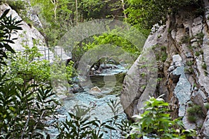 Mountain river, beautiful mountain shoal water. Water rapids. Mountain river, forest green rapid waterfall