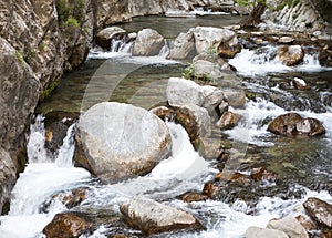 Mountain river, beautiful mountain shoal water. Water rapids. Mountain river, forest green rapid waterfall