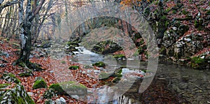 The mountain river in beechen autumn wood