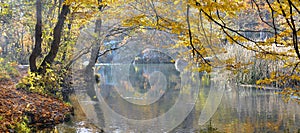 Mountain river in beechen autumn wood