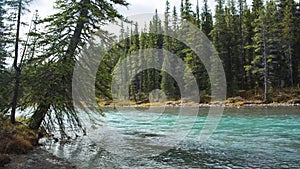 A mountain river in Canada