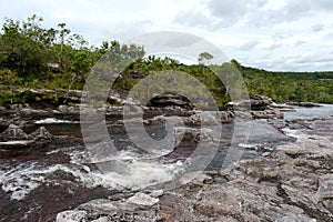 Mountain river Canio Cristales