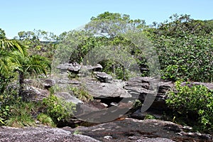 Mountain river Canio Cristales