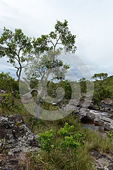 Mountain river Canio Cristales