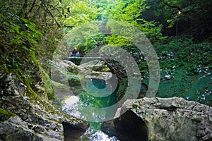 Mountain river in canyon in the middle of green forest, stones covered with moss